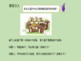 3.3  分松果 课件 北师大版数学二年级下册