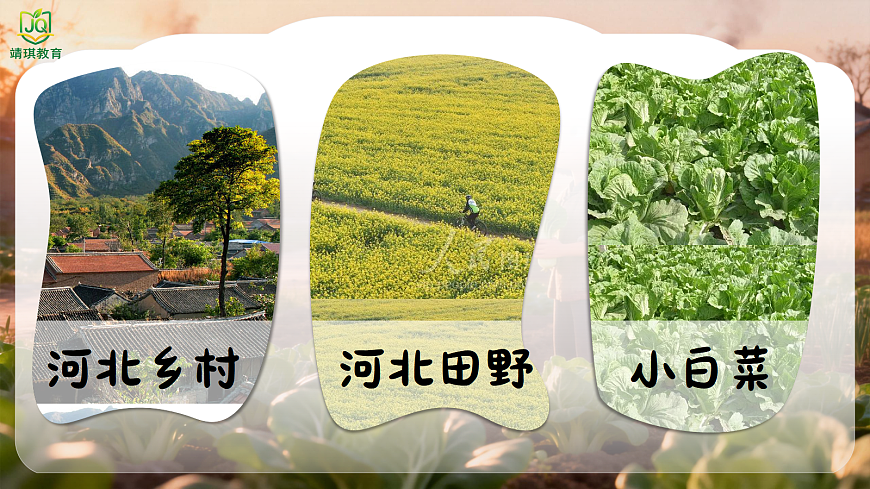 17981543第4页