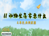 （2026）11动物生存需要什么（课件）科学二年级下册（苏教版2024）