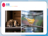 （2026）11动物生存需要什么（课件）科学二年级下册（苏教版2024）