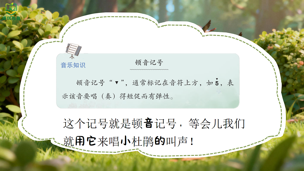 17982056第5页