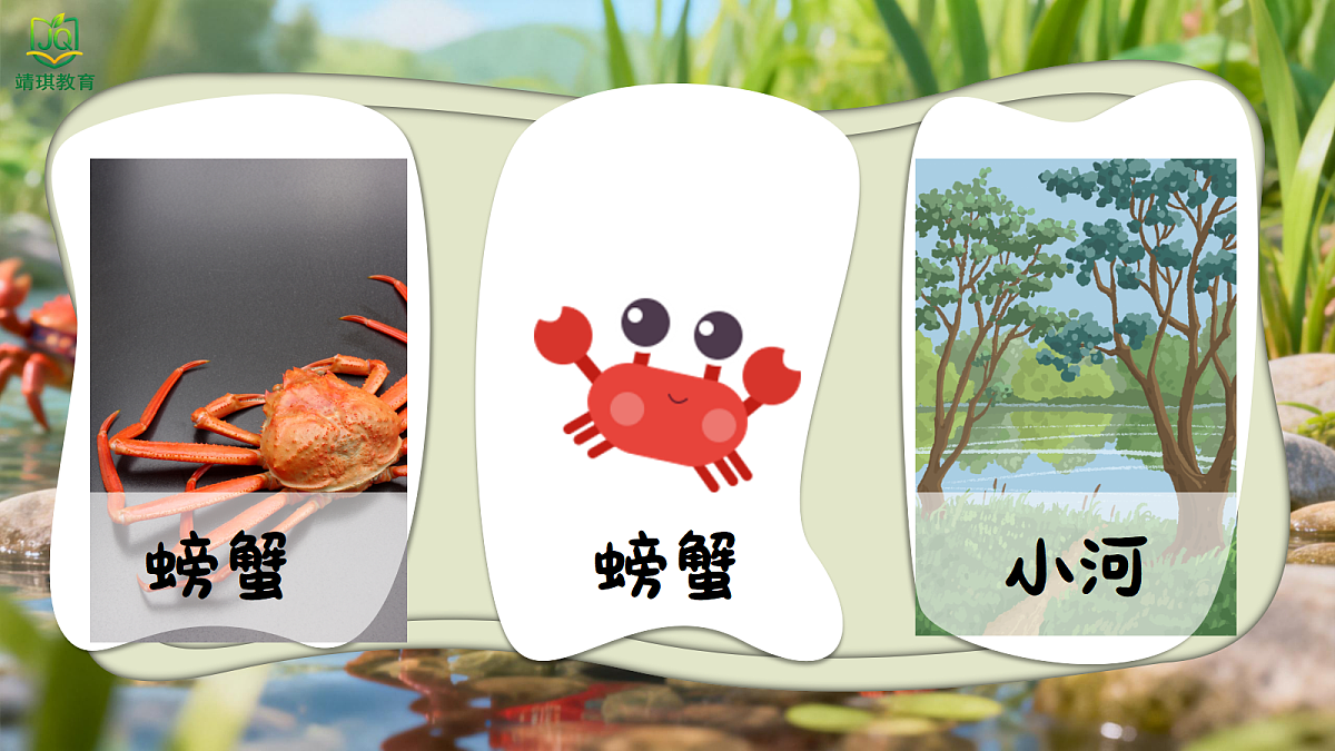 17982062第5页