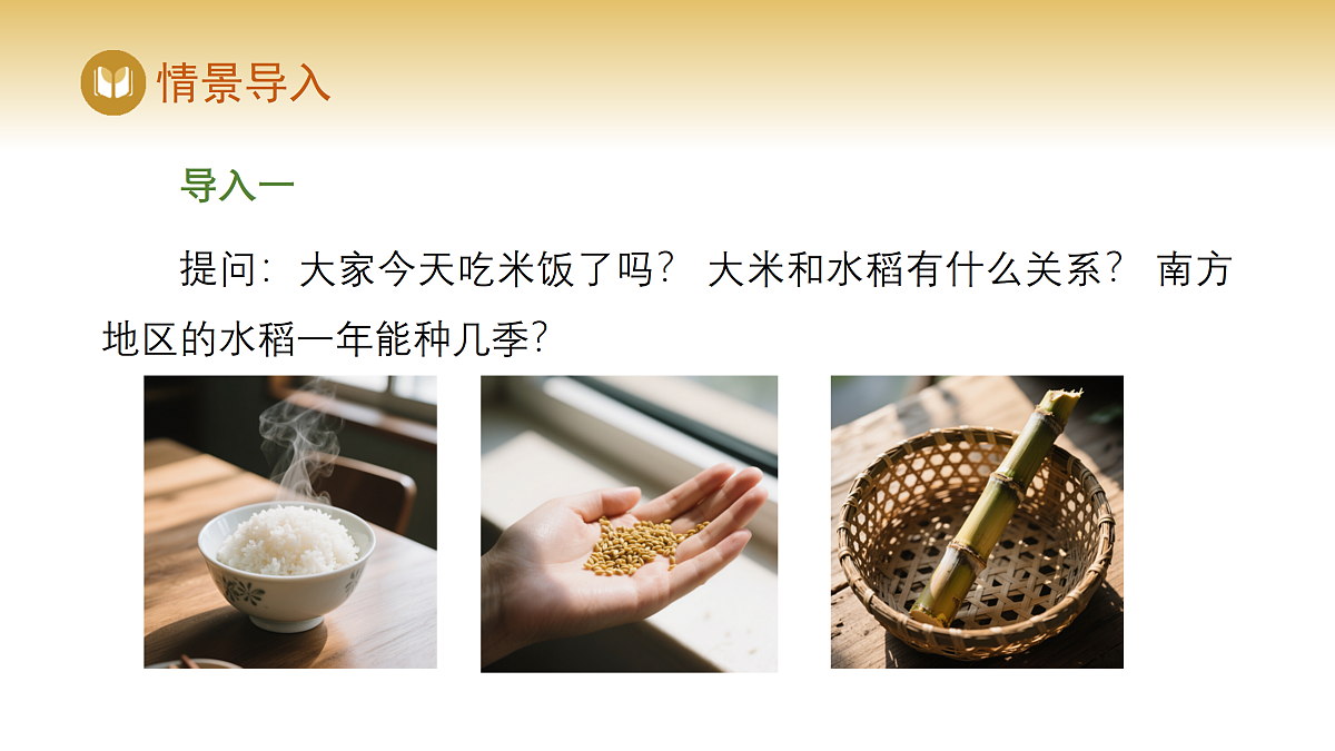 17982236第2页