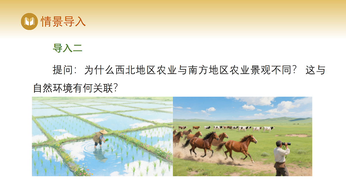 17982238第3页