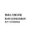 北师大版八年级生物下册 第8单元 第20章 生态系统及其稳定性 第2节 生态系统的组成（课件）