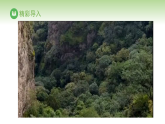 北师大版八年级生物下册 第8单元 第20章 生态系统及其稳定性 第2节 生态系统的组成（课件）