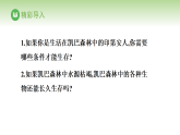 北师大版八年级生物下册 第8单元 第20章 生态系统及其稳定性 第2节 生态系统的组成（课件）