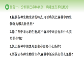 北师大版八年级生物下册 第8单元 第20章 生态系统及其稳定性 第2节 生态系统的组成（课件）