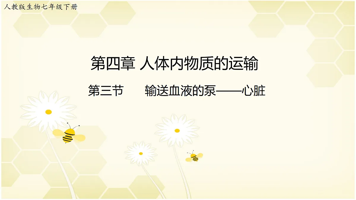 17982684第1页