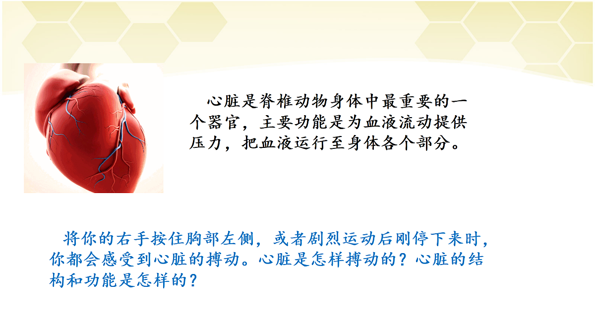 17982684第2页