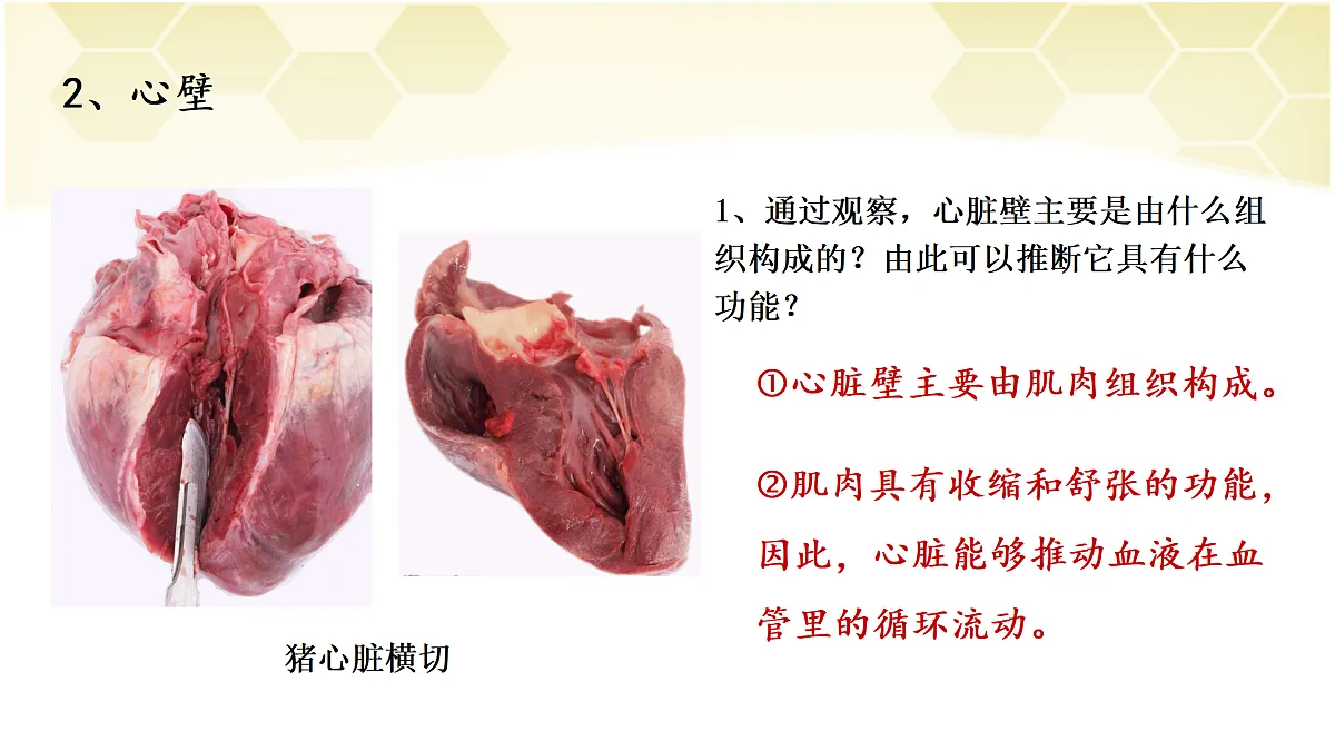 17982684第5页