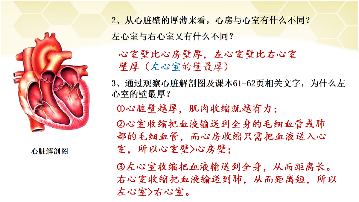 17982684第6页