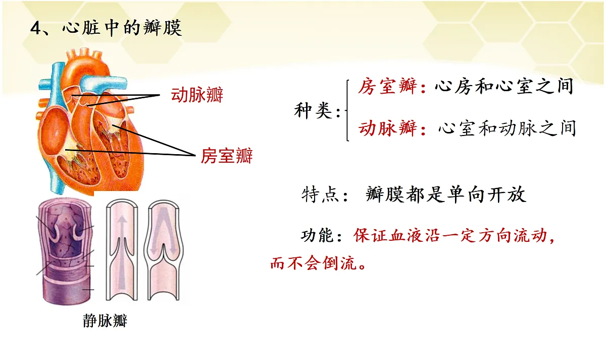 17982684第8页