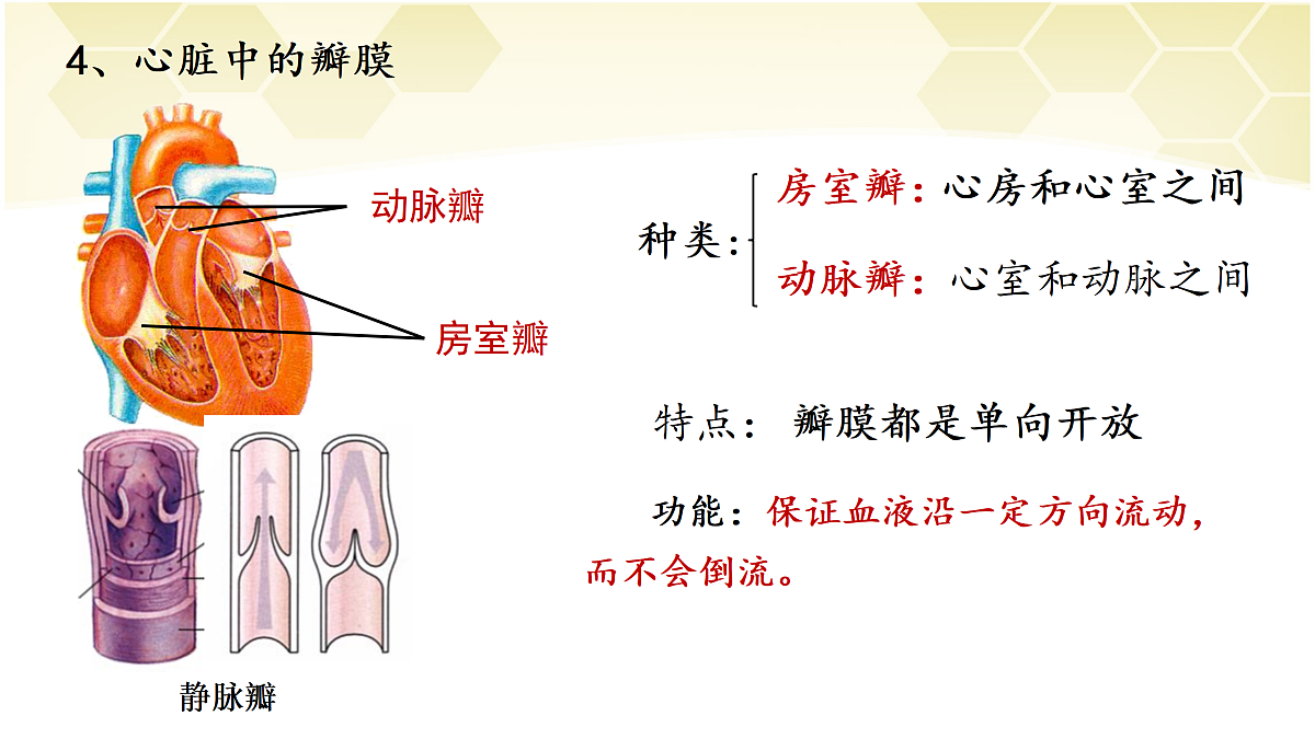 17982684第8页