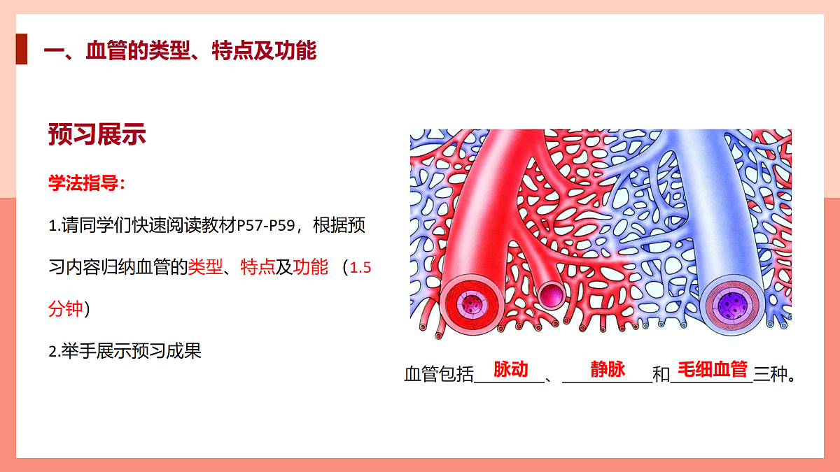 17982685第3页