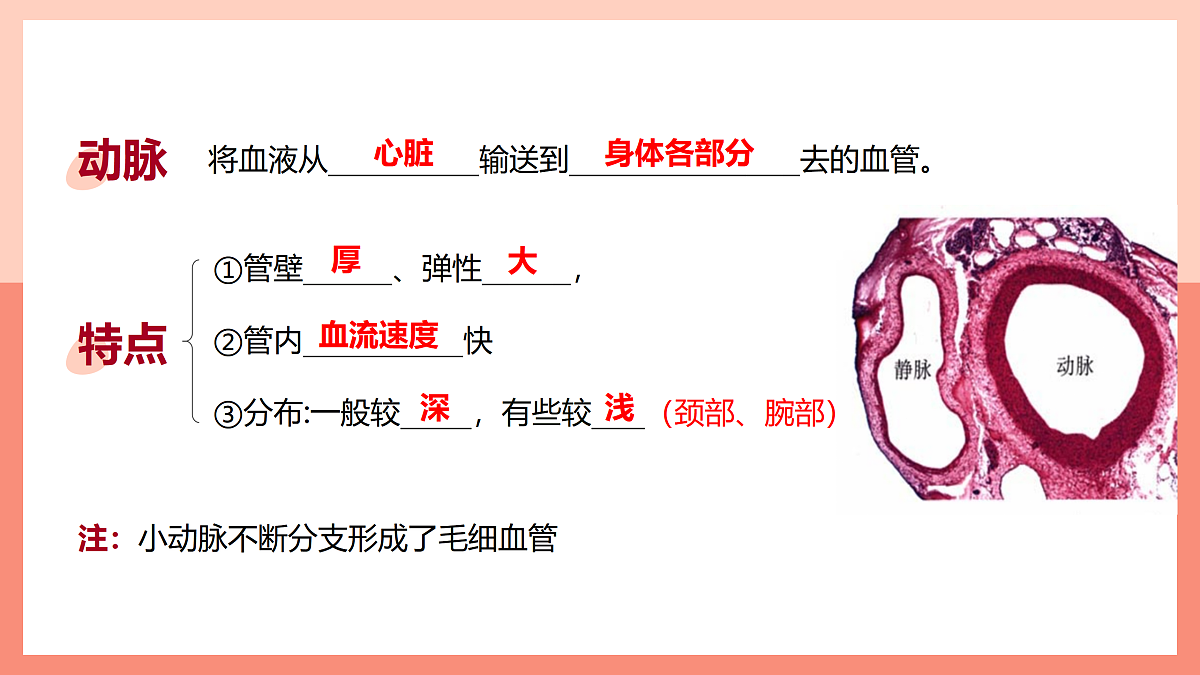 17982685第4页