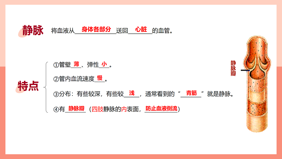 17982685第5页
