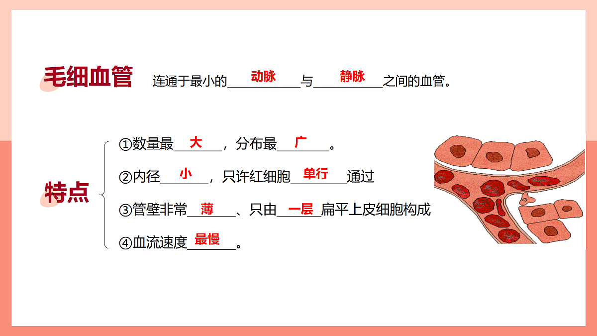 17982685第7页