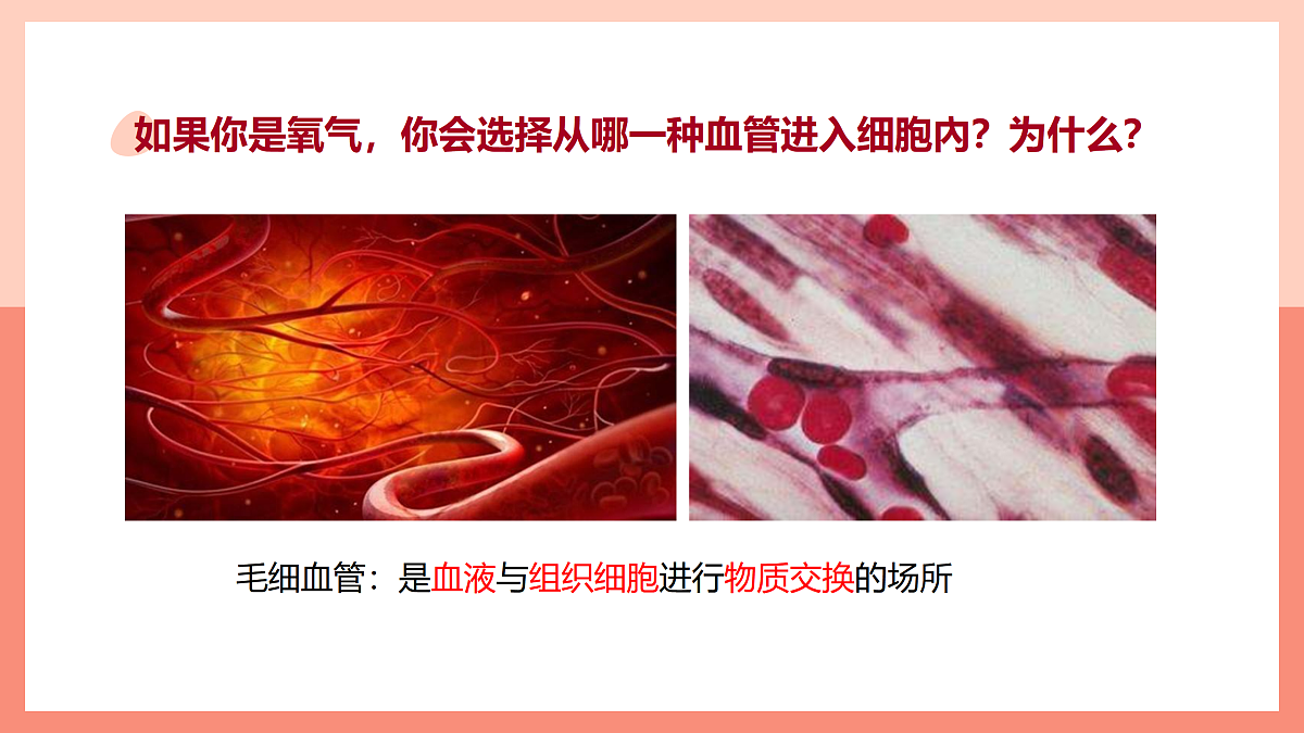 17982685第8页