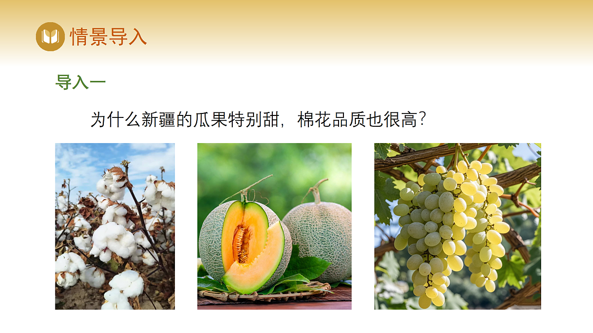 17982849第2页