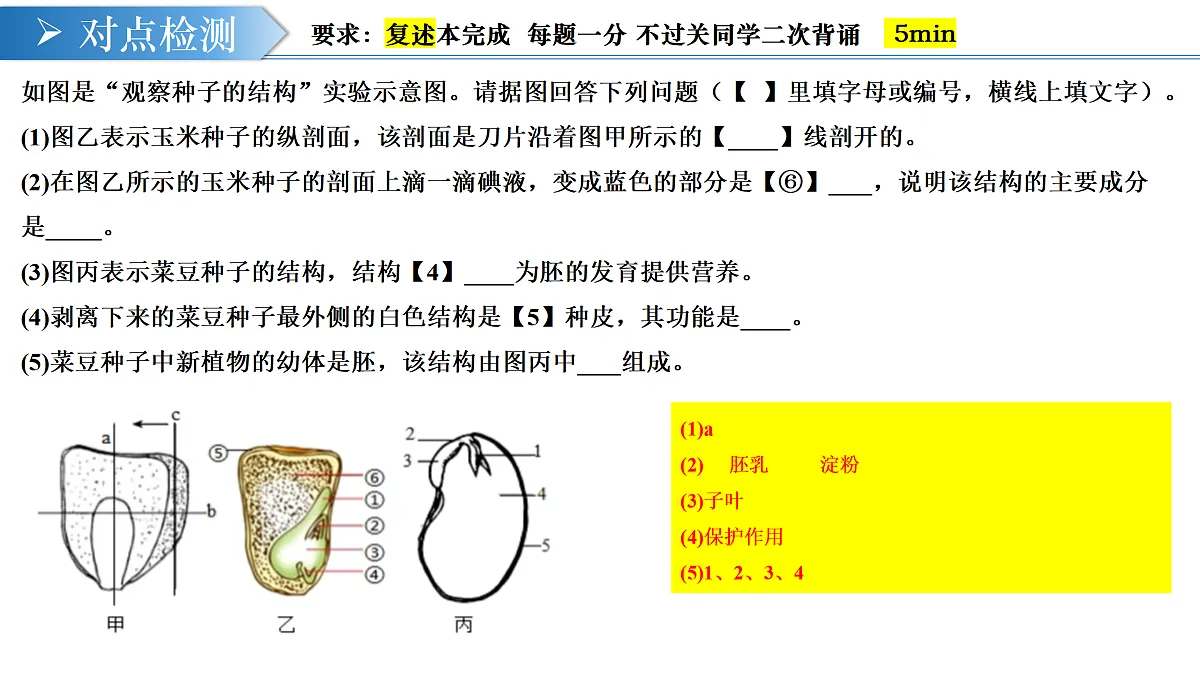 17983456第5页