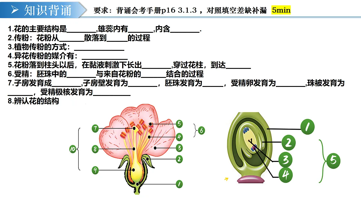 17983456第6页