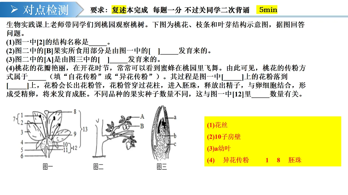 17983456第7页