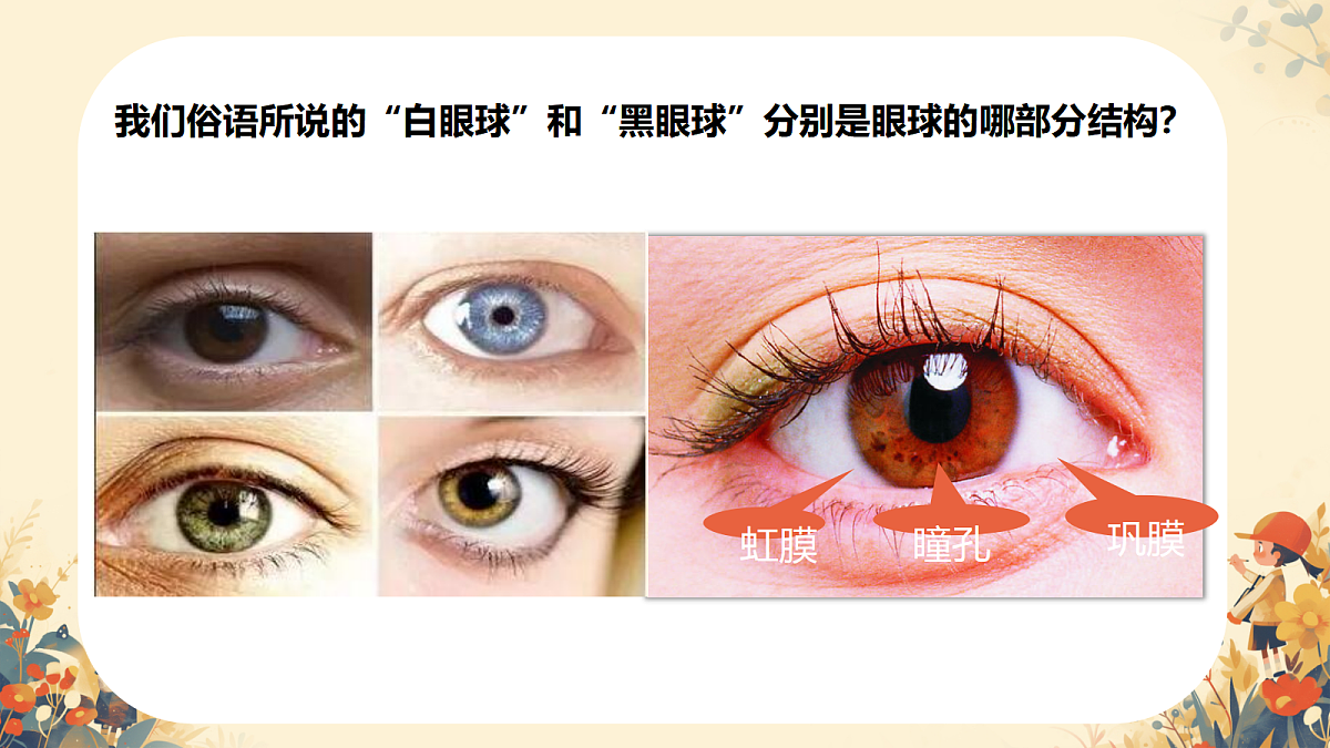 17984640第5页