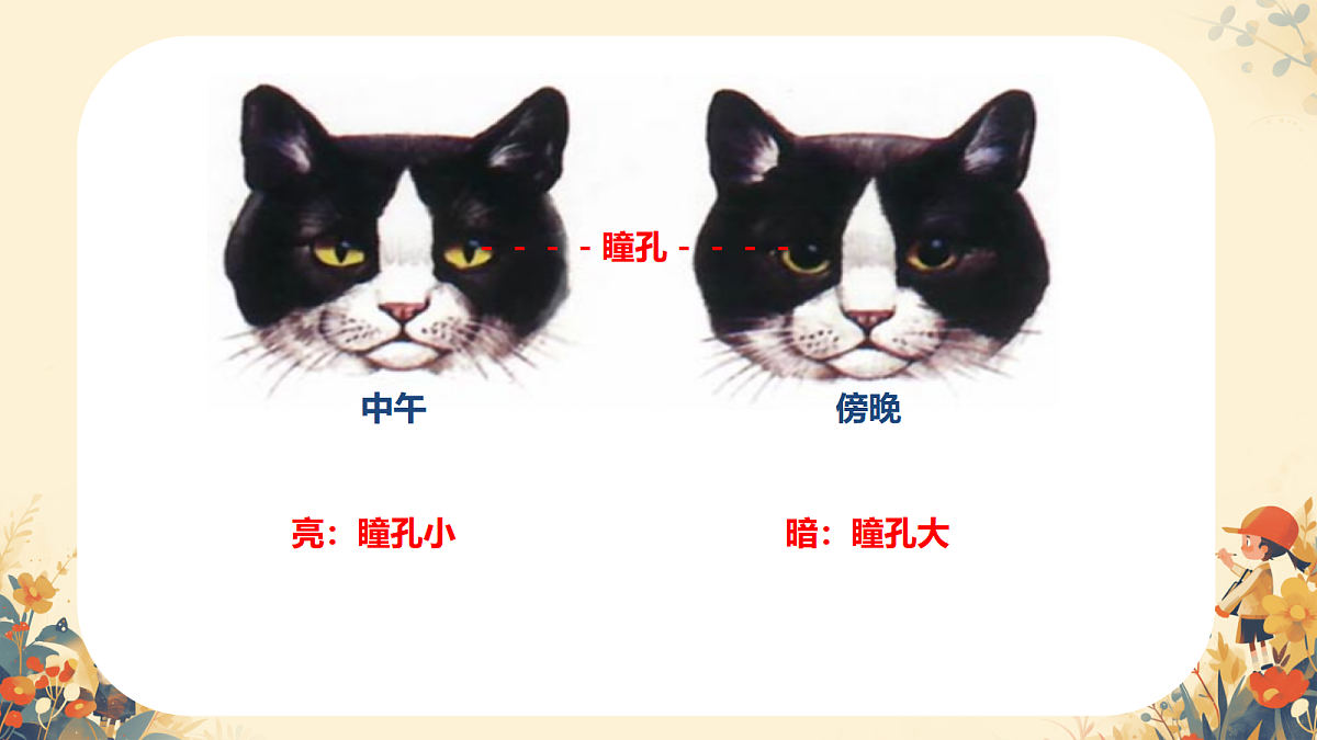 17984640第6页