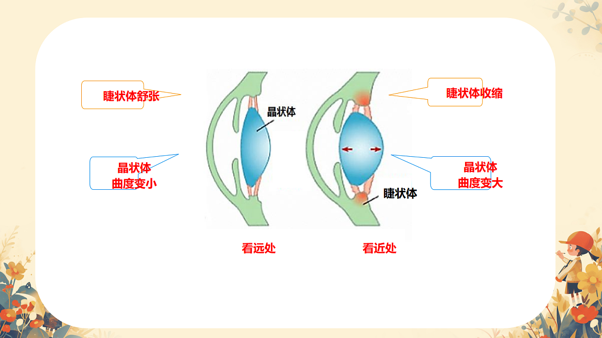 17984640第7页