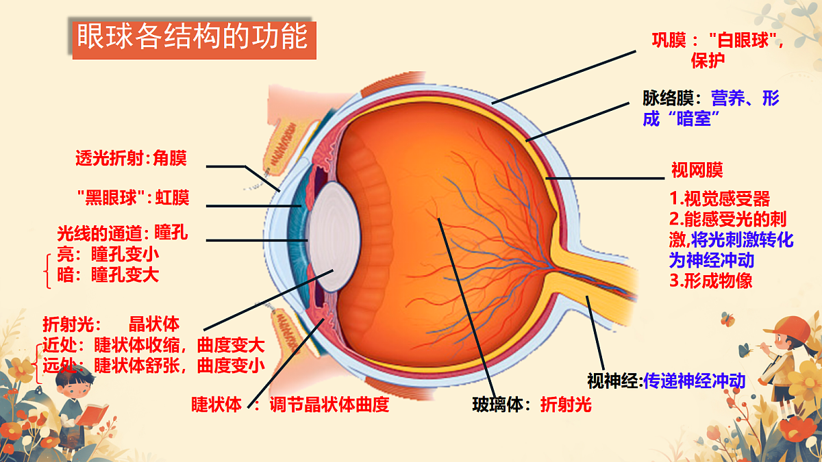 17984640第8页