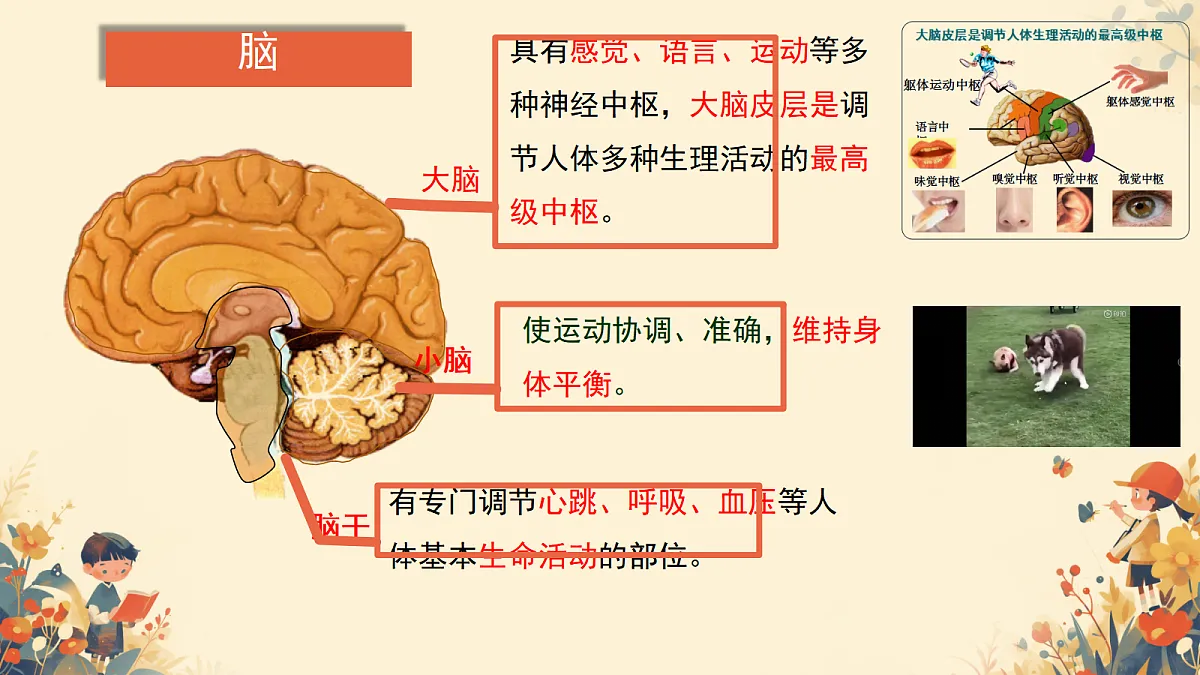 17984641第6页