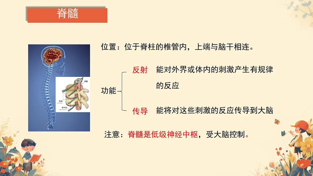 17984641第8页