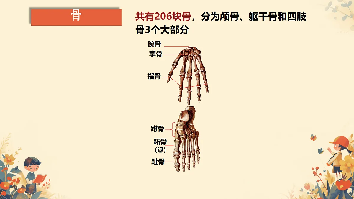 17984642第5页