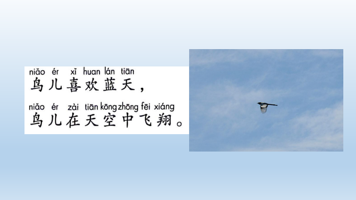 17984819第8页