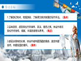 【情境教学】人教部编版语文八下 18《在长江源头各拉丹东》课件+教案