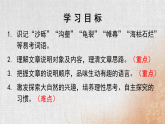 部编版初中语文八年级下册8.时间的脚印 课件