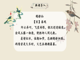 部编版初中语文八年级下册12.诗经二首关雎 课件