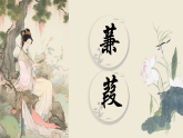 部编版初中语文八年级下册12.诗经二首蒹葭 课件