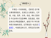 部编版初中语文八年级下册12.诗经二首蒹葭 课件
