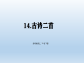 统编版（2024）二年级语文下册第六单元14 古诗二首课件