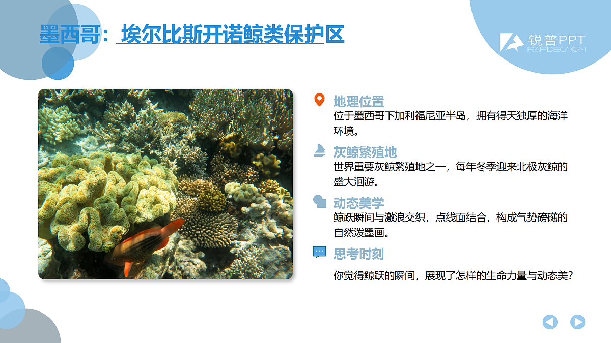 世界自然遗产——国外篇 教学课件第5页