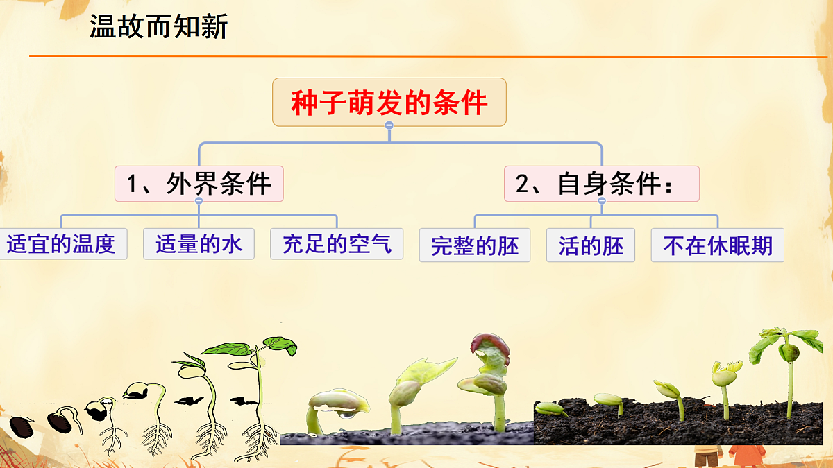 17987364第1页
