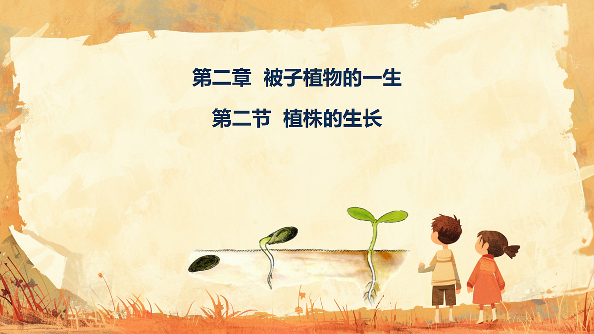 17987364第3页