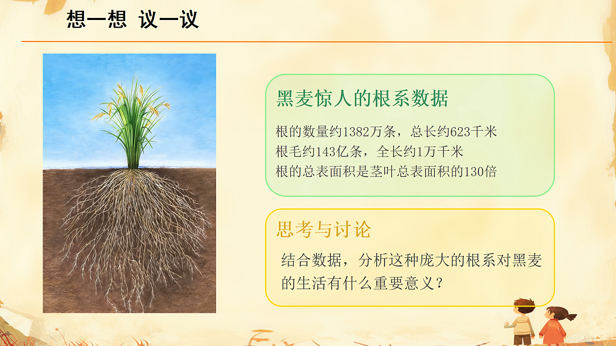 17987364第5页