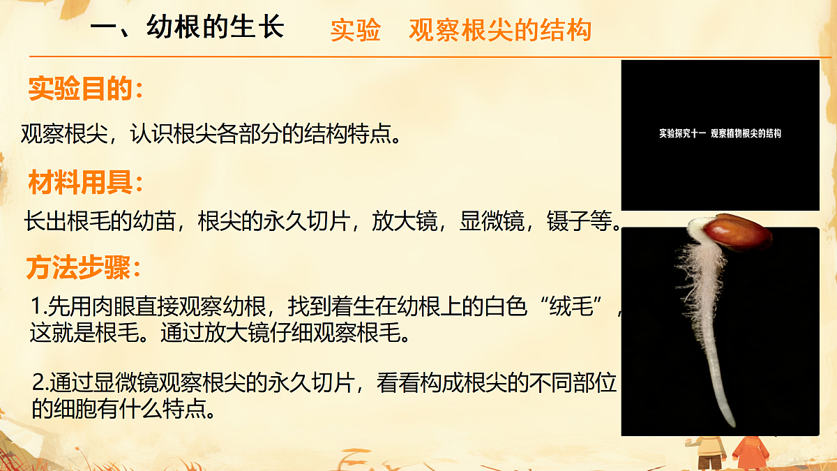 17987364第7页