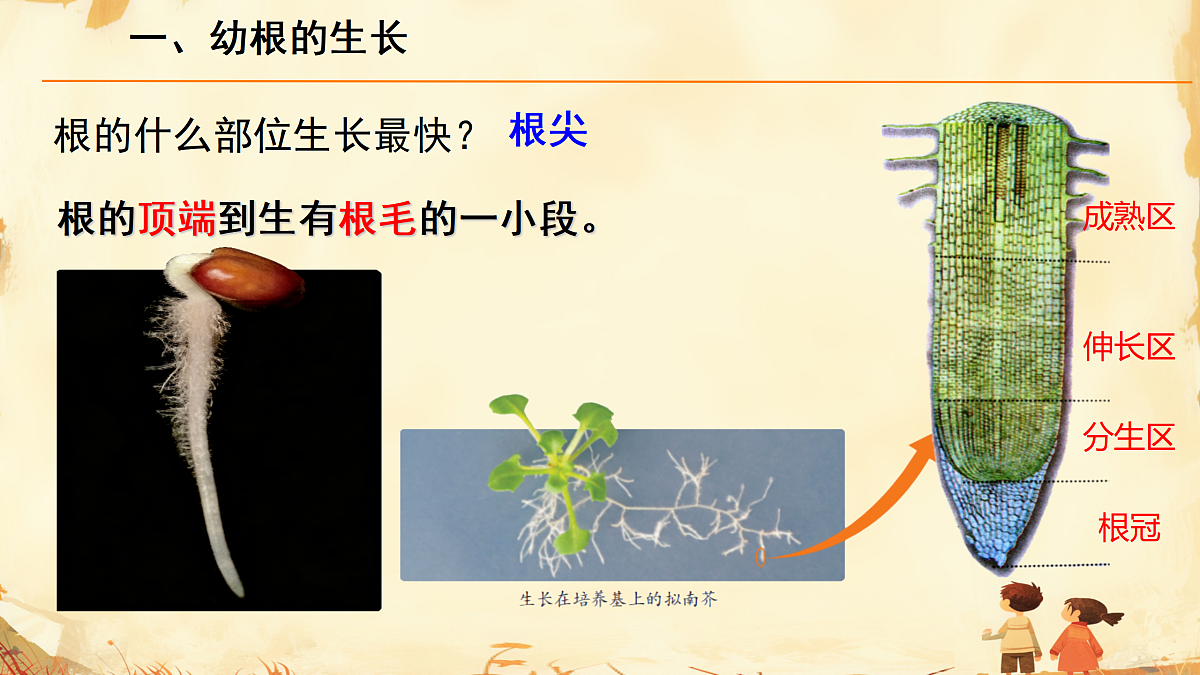17987364第8页