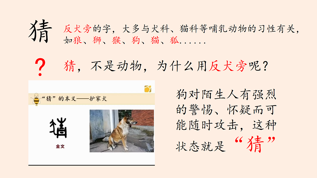 17987479第2页