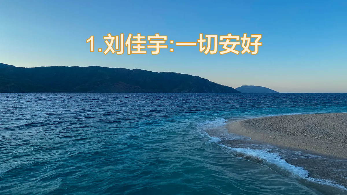 17987707第2页