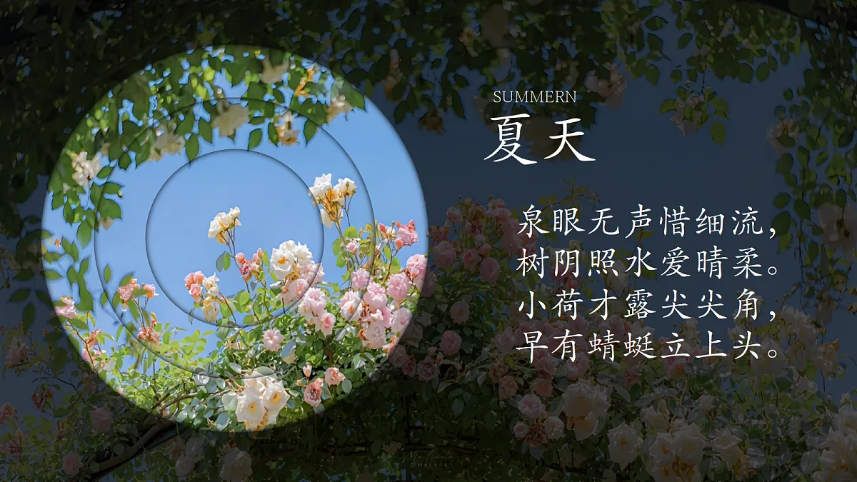 【新人音2下】《春之歌》课件第3页